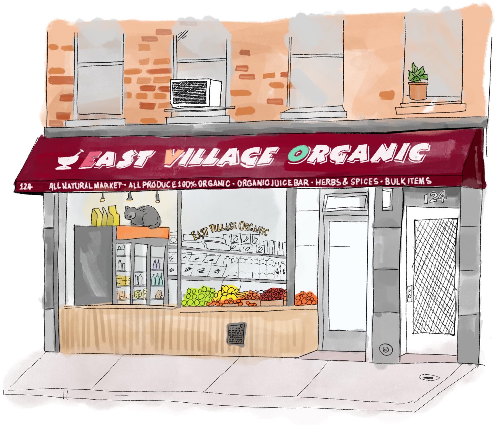 East Village Organic storefront illustration